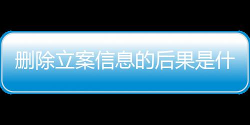 删除立案信息的后果是什么呢怎么写说明