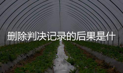 删除判决记录的后果是什么样的呢图片视频