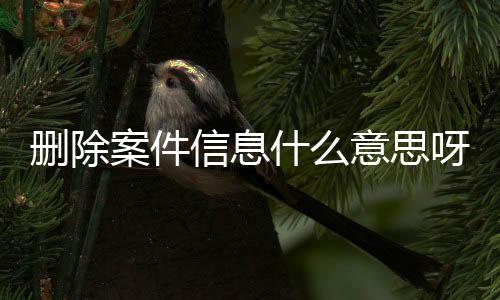 删除案件信息什么意思呀怎么查找