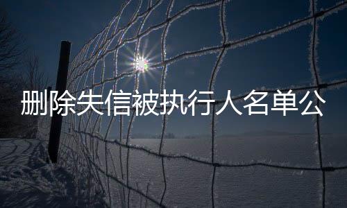 删除失信被执行人名单公告怎么查到