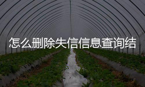 怎么删除失信信息查询结果记录的人员信息