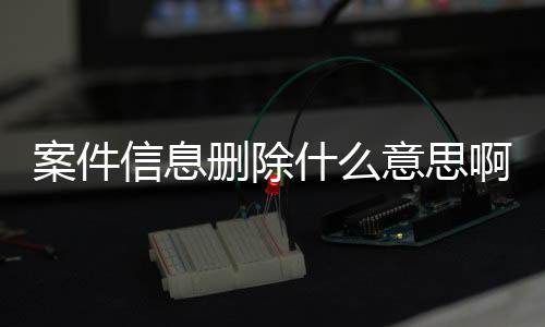 案件信息删除什么意思啊怎么办理的呢怎么查询