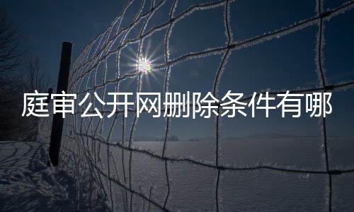 庭审公开网删除条件有哪些要求呢视频播放